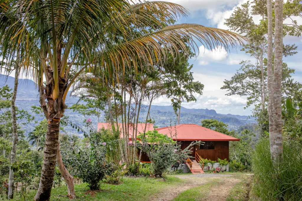 Cabaña en finca de café orgánico en Turrialba, Costa Rica, rodeada de naturaleza.