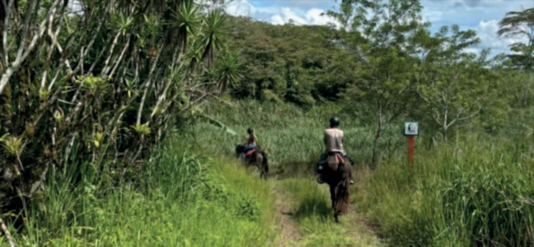 Paseo a caballo en Iriká Lodge, Turrialba, Costa Rica