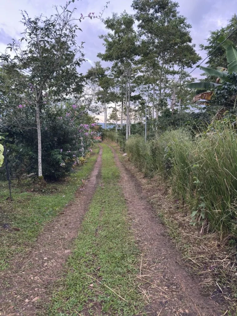 Camino rodeado de vegetación en Turrialba, cerca de Iriká Lodge, Costa Rica.
