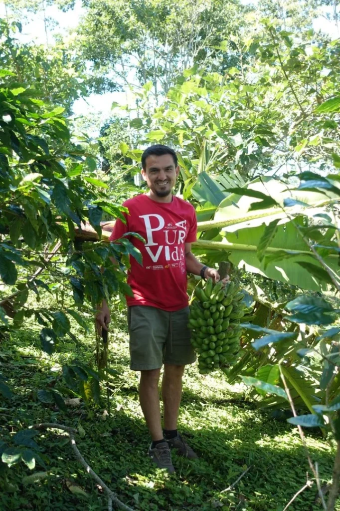 Hombre cosechando plátanos en Turrialba, Costa Rica, cerca de Iriká Lodge.
